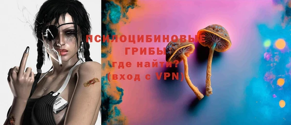 spice Володарск